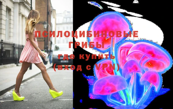 амф Алексин